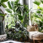 Sentuhan biophilic di dalam rumah